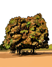 Cargar imagen en el visor de la galería, 02 Los mangos gemelos. Print numerado de Javier Mariscal