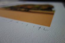 Cargar imagen en el visor de la galería, 02 Los mangos gemelos. Print numerado de Javier Mariscal